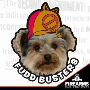 Fudd Busters
